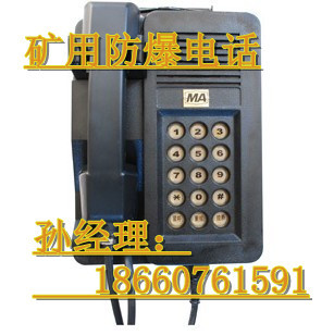 KTH-3防爆電話機價格_KTH-3防爆電話機,KTH-33防爆電話廠家批發(fā)_.